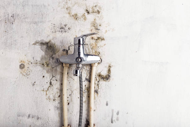 Best Residential Mold Remediation in Fiskdale, MA