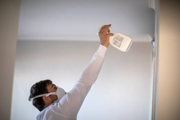 Best Bathroom Mold Remediation in Fiskdale, MA