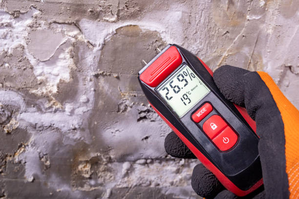Fiskdale, MA Mold Remediation Company